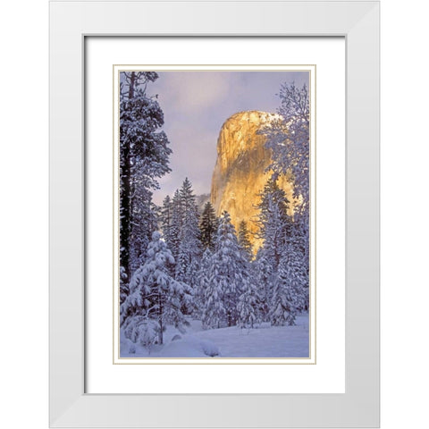 California, Yosemite El Capitan lit by sunlight White Modern Wood Framed Art Print with Double Matting by Welling, Dave