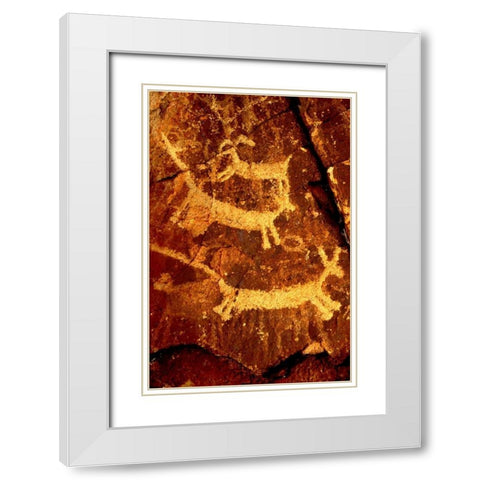 California, Little Petroglyph Canyon Petroglyphs White Modern Wood Framed Art Print with Double Matting by Welling, Dave