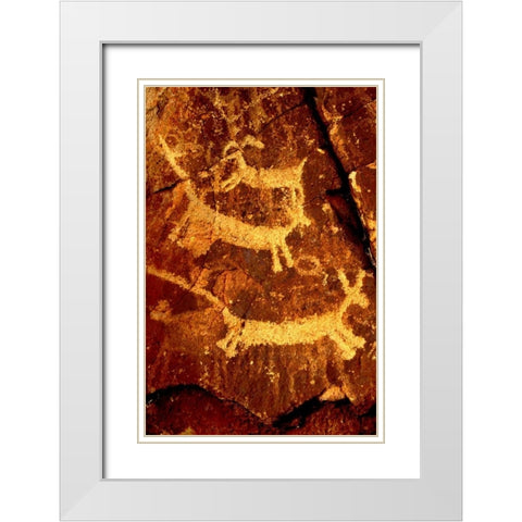 California, Little Petroglyph Canyon Petroglyphs White Modern Wood Framed Art Print with Double Matting by Welling, Dave