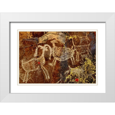 California, Little Petroglyph Canyon Petroglyphs White Modern Wood Framed Art Print with Double Matting by Welling, Dave