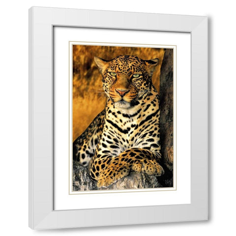 CA, Los Angeles Co, African leopard White Modern Wood Framed Art Print with Double Matting by Welling, Dave