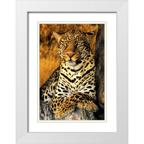 CA, Los Angeles Co, African leopard White Modern Wood Framed Art Print with Double Matting by Welling, Dave