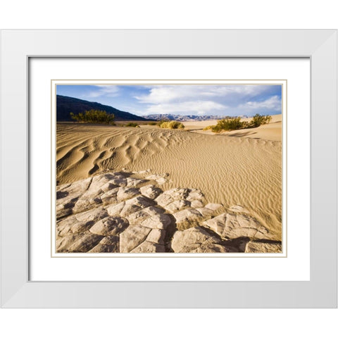 CA, Death Valley NP Mesquite Flat Sand Dunes White Modern Wood Framed Art Print with Double Matting by Kaveney, Wendy