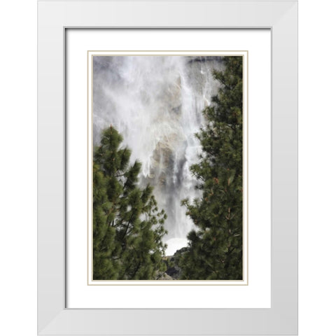 CA, Yosemite View o fYosemite Falls in March White Modern Wood Framed Art Print with Double Matting by Noble Gardner, Nancy