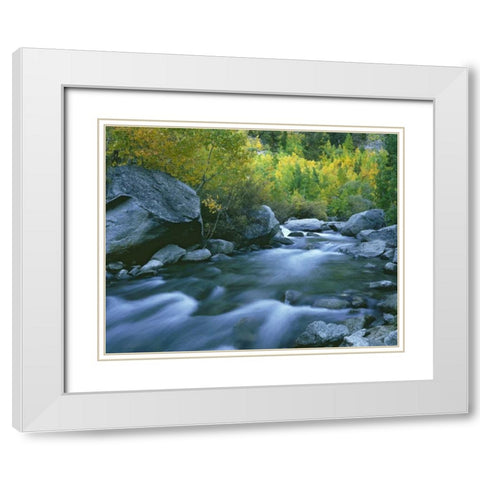 California Bishop Creek and aspens in autumn White Modern Wood Framed Art Print with Double Matting by Flaherty, Dennis