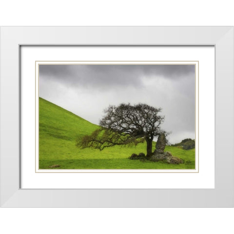 California An oak stands alone under clouds White Modern Wood Framed Art Print with Double Matting by Paulson, Don