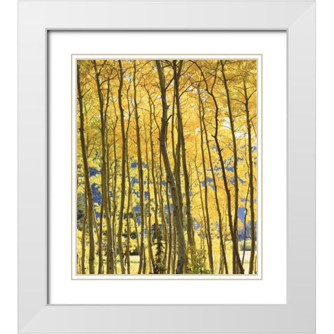 CA, Sierra Nevada Fall colors of aspen trees White Modern Wood Framed Art Print with Double Matting by Talbot Frank, Christopher