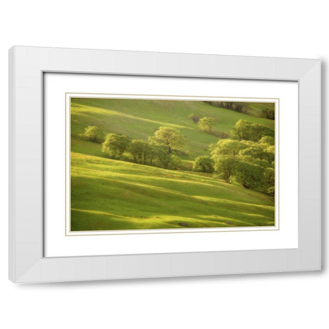 CA, Redwoods Sunrise on green sloping meadow White Modern Wood Framed Art Print with Double Matting by Paulson, Don