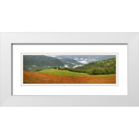 CA, Redwoods Mountain scenic with old barn White Modern Wood Framed Art Print with Double Matting by Paulson, Don