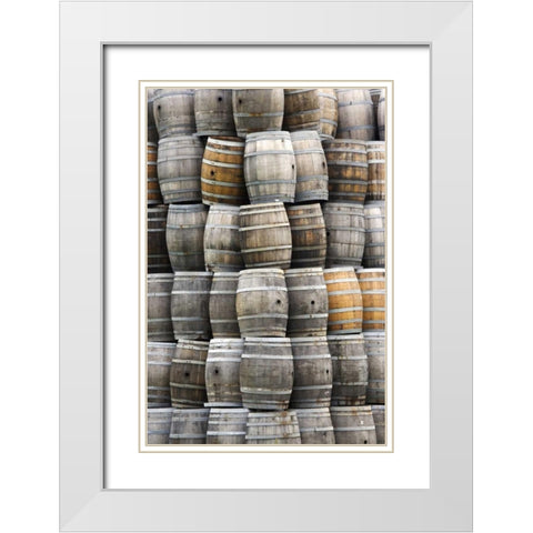 CA, San Luis Obispo Co Stacks of wine barrels White Modern Wood Framed Art Print with Double Matting by Flaherty, Dennis