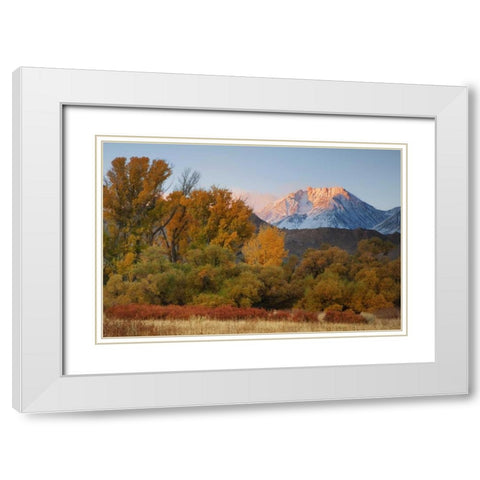 CA, Sierra Nevada, Owens Valley Basin Mountain White Modern Wood Framed Art Print with Double Matting by Flaherty, Dennis