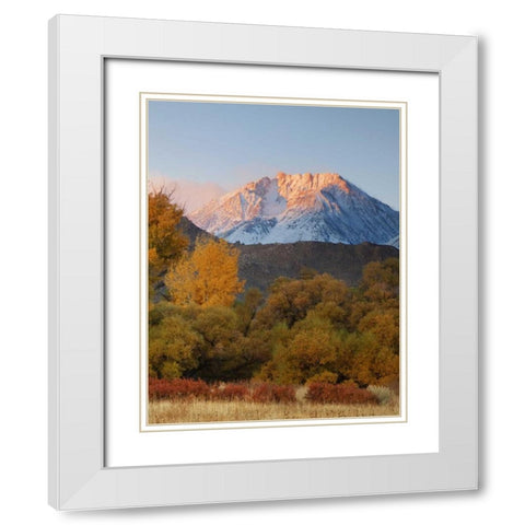 CA, Sierra Nevada, Owens Valley Basin Mountain White Modern Wood Framed Art Print with Double Matting by Flaherty, Dennis