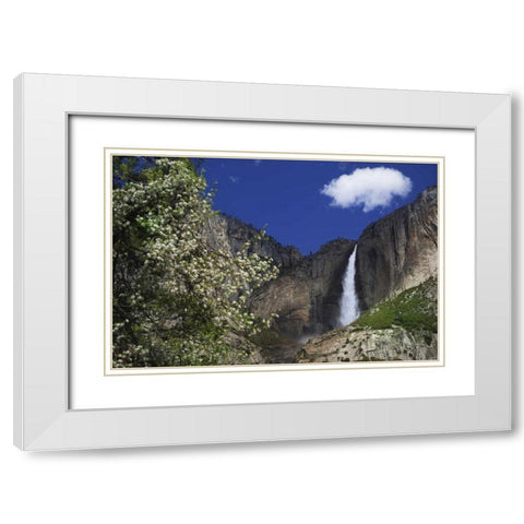 CA, Yosemite Apple tree and Upper Yosemite Falls White Modern Wood Framed Art Print with Double Matting by Flaherty, Dennis