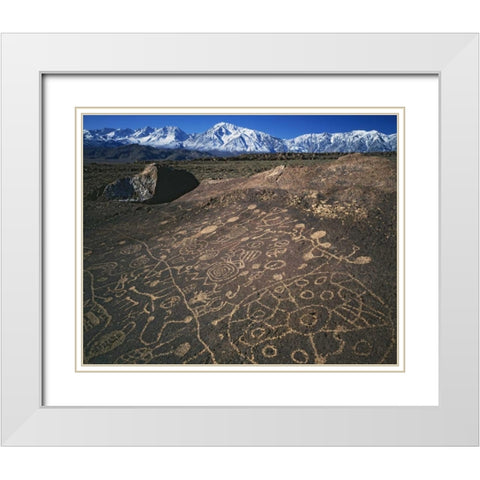 CA, Bishop, Sierra Mts Curvilinear petroglyphs White Modern Wood Framed Art Print with Double Matting by Flaherty, Dennis