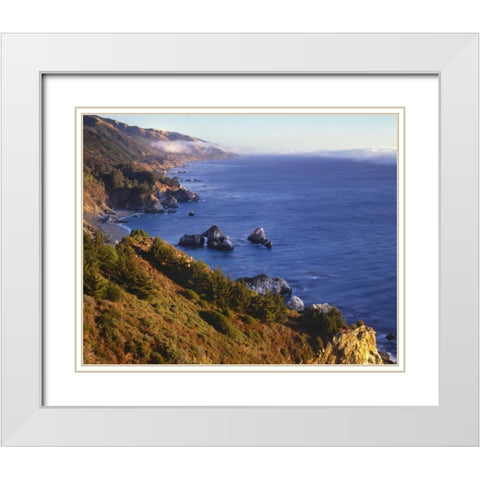 CA, Julia Pfeifer Burns SP Shoreline scenic White Modern Wood Framed Art Print with Double Matting by Flaherty, Dennis