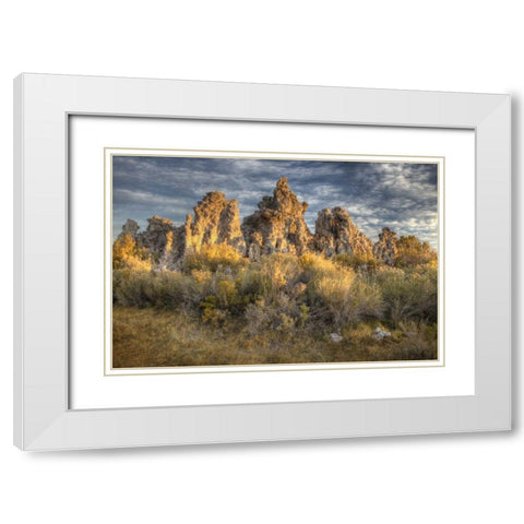 California, Mono Lake Sunrise on tufas and grass White Modern Wood Framed Art Print with Double Matting by Carter, Jean