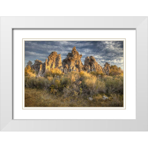 California, Mono Lake Sunrise on tufas and grass White Modern Wood Framed Art Print with Double Matting by Carter, Jean