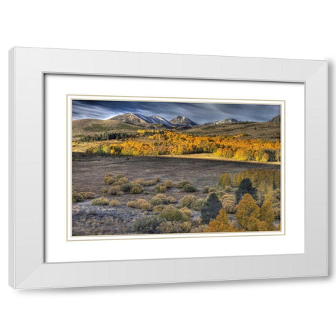 CA, Eastern Sierra Nevada from Conway Summit White Modern Wood Framed Art Print with Double Matting by Carter, Jean