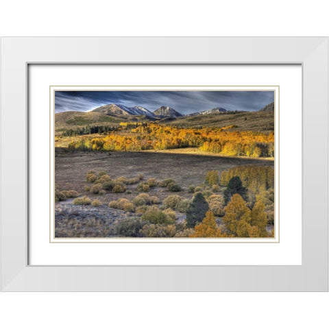 CA, Eastern Sierra Nevada from Conway Summit White Modern Wood Framed Art Print with Double Matting by Carter, Jean