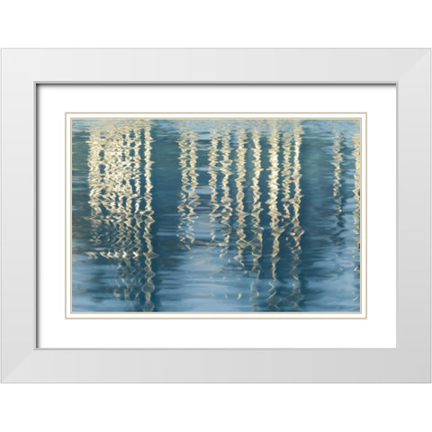 CA, San Diego Reflection on Childrens Park pool White Modern Wood Framed Art Print with Double Matting by Paulson, Don