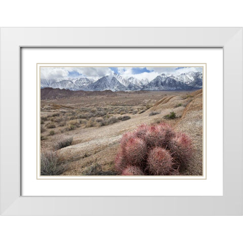 California, Lone Pine Alabama Hills and Sierras White Modern Wood Framed Art Print with Double Matting by Paulson, Don