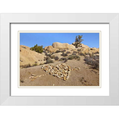 CA, Joshua Tree NP Stone heart pattern White Modern Wood Framed Art Print with Double Matting by Paulson, Don