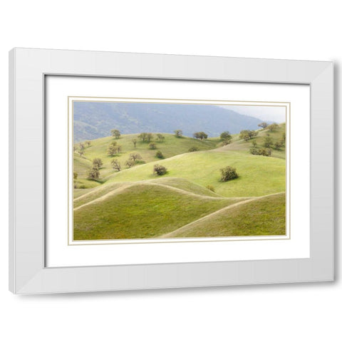 CA, Caliente Spring landscape White Modern Wood Framed Art Print with Double Matting by Paulson, Don