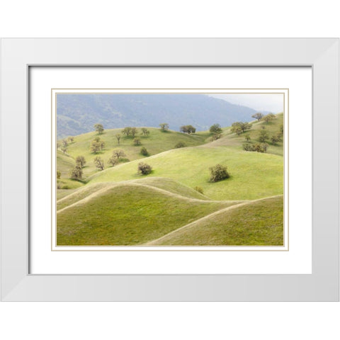 CA, Caliente Spring landscape White Modern Wood Framed Art Print with Double Matting by Paulson, Don