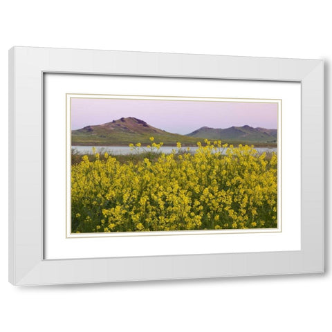 CA, Porterville Spring scenic with Lake Success White Modern Wood Framed Art Print with Double Matting by Paulson, Don