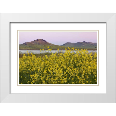 CA, Porterville Spring scenic with Lake Success White Modern Wood Framed Art Print with Double Matting by Paulson, Don