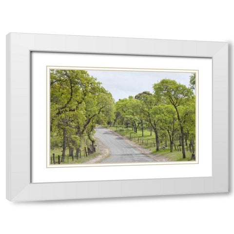 California, Chinese Camp Old Don Pedro Road White Modern Wood Framed Art Print with Double Matting by Paulson, Don
