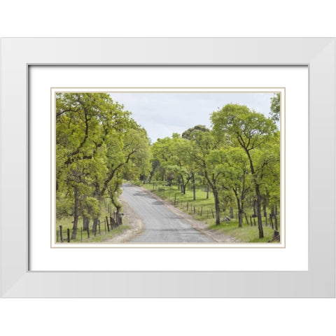 California, Chinese Camp Old Don Pedro Road White Modern Wood Framed Art Print with Double Matting by Paulson, Don