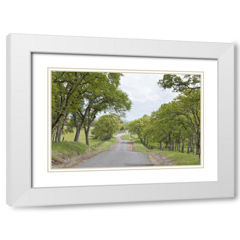 California, Chinese Camp Old Don Pedro Road White Modern Wood Framed Art Print with Double Matting by Paulson, Don