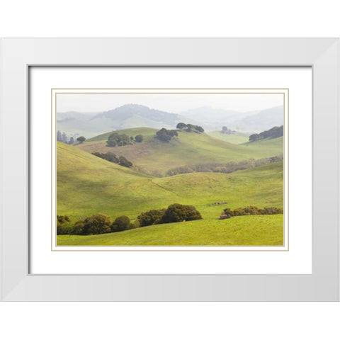 USA, California, Olema Landscape of farm fields White Modern Wood Framed Art Print with Double Matting by Paulson, Don