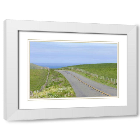 CA, Road through Point Reyes National Seashore White Modern Wood Framed Art Print with Double Matting by Paulson, Don