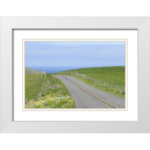 CA, Road through Point Reyes National Seashore White Modern Wood Framed Art Print with Double Matting by Paulson, Don