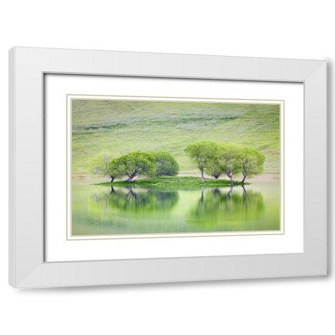 CA, Trees reflect in Black Butte Reservoir White Modern Wood Framed Art Print with Double Matting by Paulson, Don