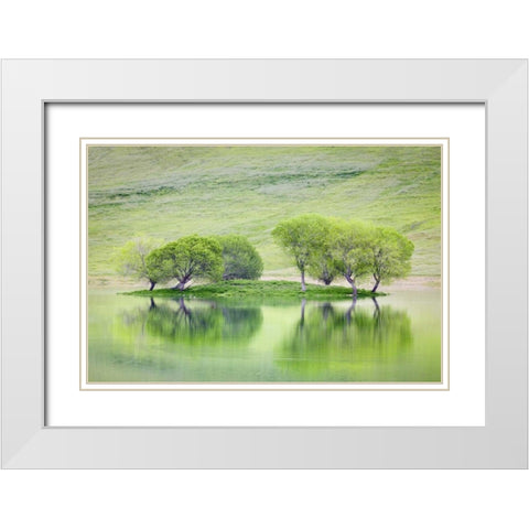 CA, Trees reflect in Black Butte Reservoir White Modern Wood Framed Art Print with Double Matting by Paulson, Don