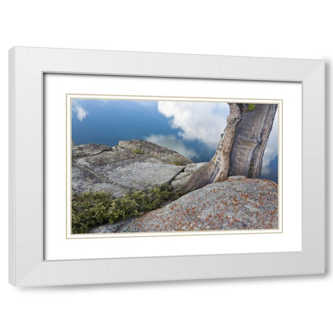 CA, Toiyabe NF Rocks and tree by Granite Lake White Modern Wood Framed Art Print with Double Matting by Paulson, Don