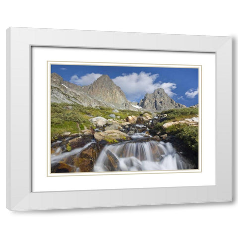 CA, Inyo NF Waterfalls below Mount Ritter White Modern Wood Framed Art Print with Double Matting by Paulson, Don
