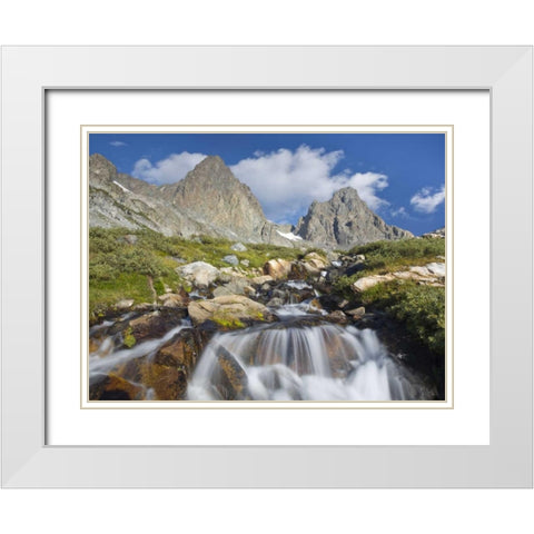 CA, Inyo NF Waterfalls below Mount Ritter White Modern Wood Framed Art Print with Double Matting by Paulson, Don