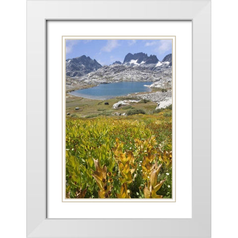 CA, Inyo NF Field of flowers and Nydiver Lake White Modern Wood Framed Art Print with Double Matting by Paulson, Don