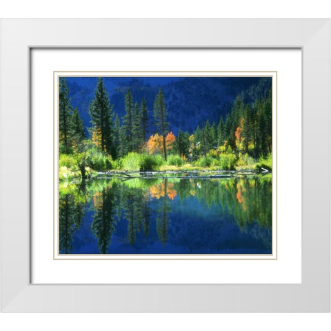 California, Sierra Nevada Mts, A beaver pond White Modern Wood Framed Art Print with Double Matting by Talbot Frank, Christopher