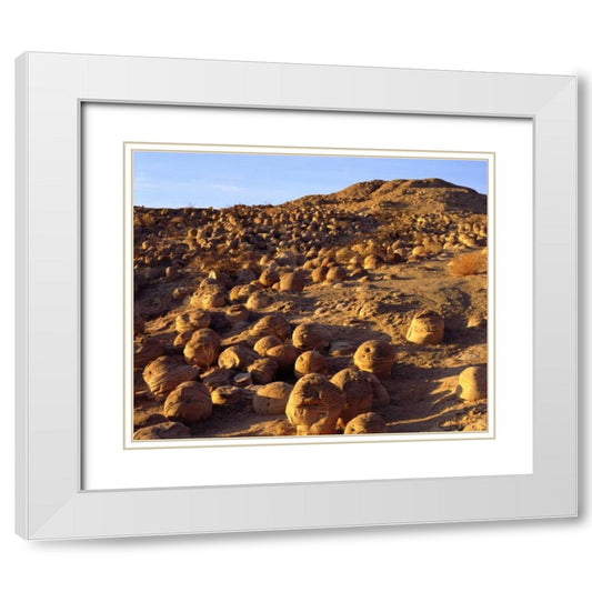Perspective Image