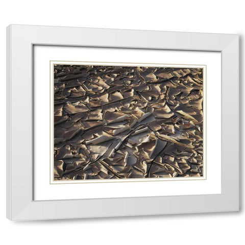 California, Anza-Borrego Patterns of Cracked Mud White Modern Wood Framed Art Print with Double Matting by Talbot Frank, Christopher