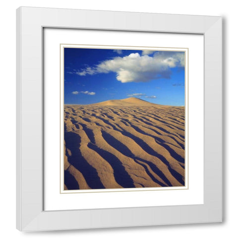 California, Dumont Dunes Sand Dunes and Clouds White Modern Wood Framed Art Print with Double Matting by Talbot Frank, Christopher