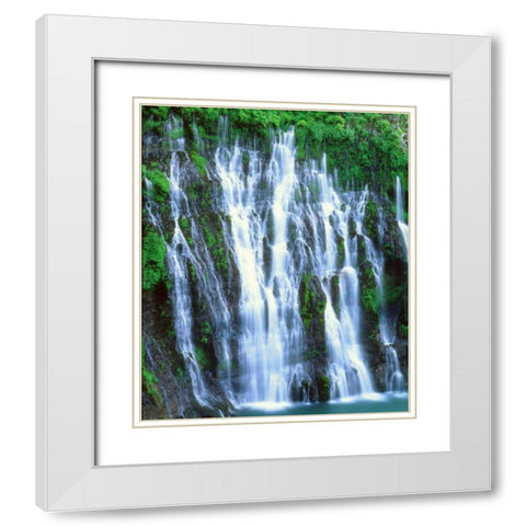 California, McArthur-Burney Falls, Burney Falls White Modern Wood Framed Art Print with Double Matting by Talbot Frank, Christopher