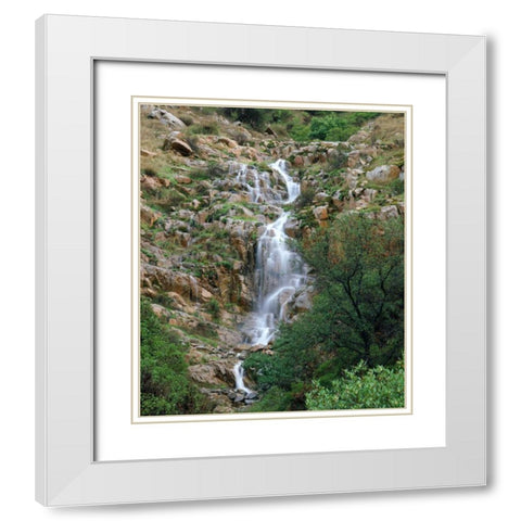 CA, San Diego, Mission Trails Park A waterfall White Modern Wood Framed Art Print with Double Matting by Talbot Frank, Christopher