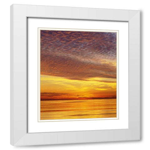 CA, San Diego Sunset Cliffs by the ocean,sunset White Modern Wood Framed Art Print with Double Matting by Talbot Frank, Christopher