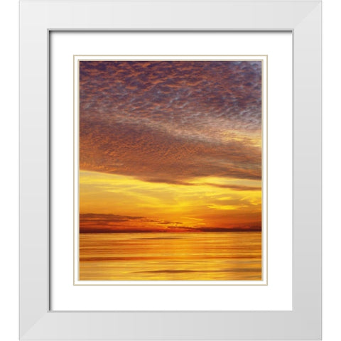 CA, San Diego Sunset Cliffs by the ocean,sunset White Modern Wood Framed Art Print with Double Matting by Talbot Frank, Christopher